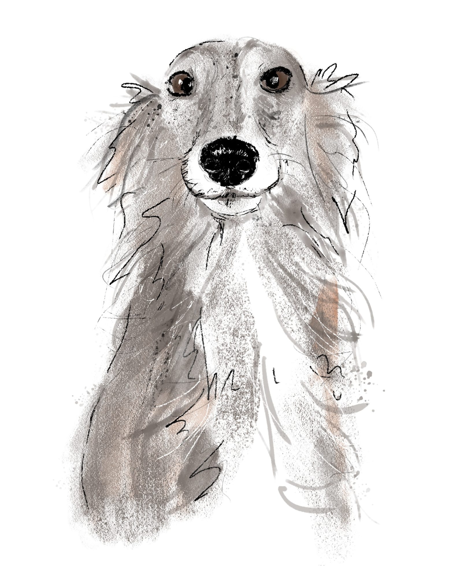 Animated Dog Portraits