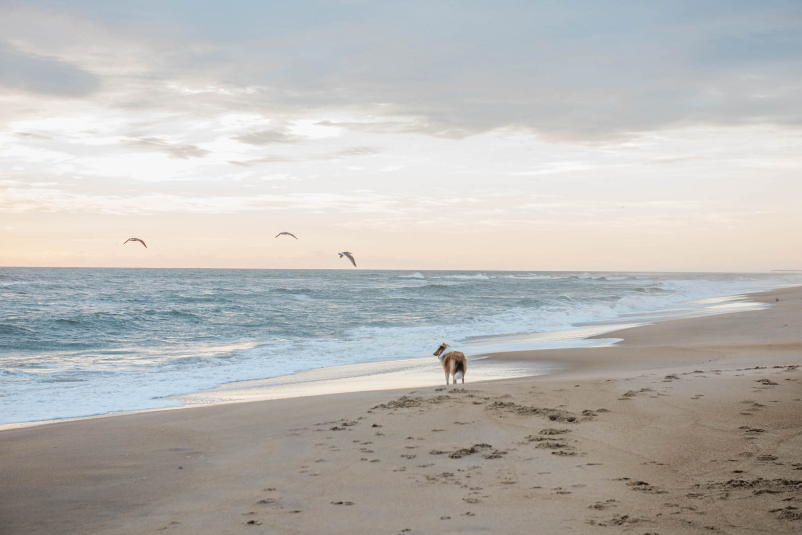 Reset in the Outer Banks